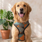 Mutt Of Course Chest Harness for Dogs - Tricky Turkey