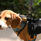 Mutt Of Course Chest Harness for Dogs - Tricky Turkey