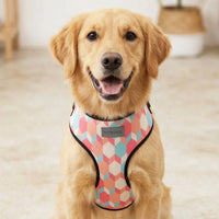 Mutt Of Course Chest Harness for Dogs - Candy Barr