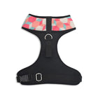 Mutt Of Course Chest Harness for Dogs - Candy Barr