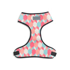 Mutt Of Course Chest Harness for Dogs - Candy Barr
