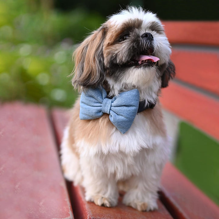 Mutt Of Course Light Denim Bow Tie