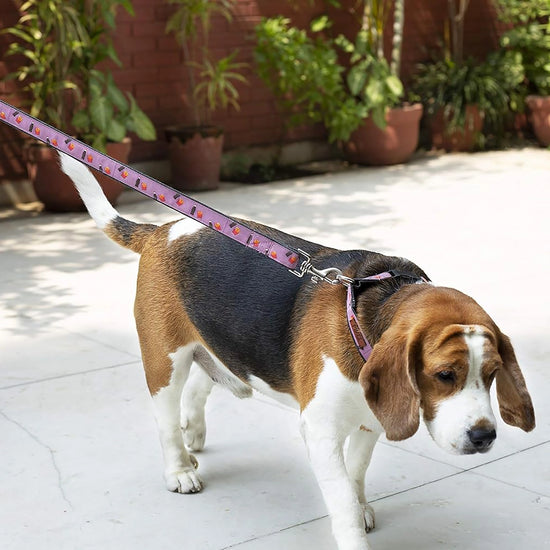 Mutt Of Course Cola & French Fries Leash