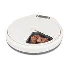 Zigly white automatic pet feeder with digital screen and wet pet food in tray