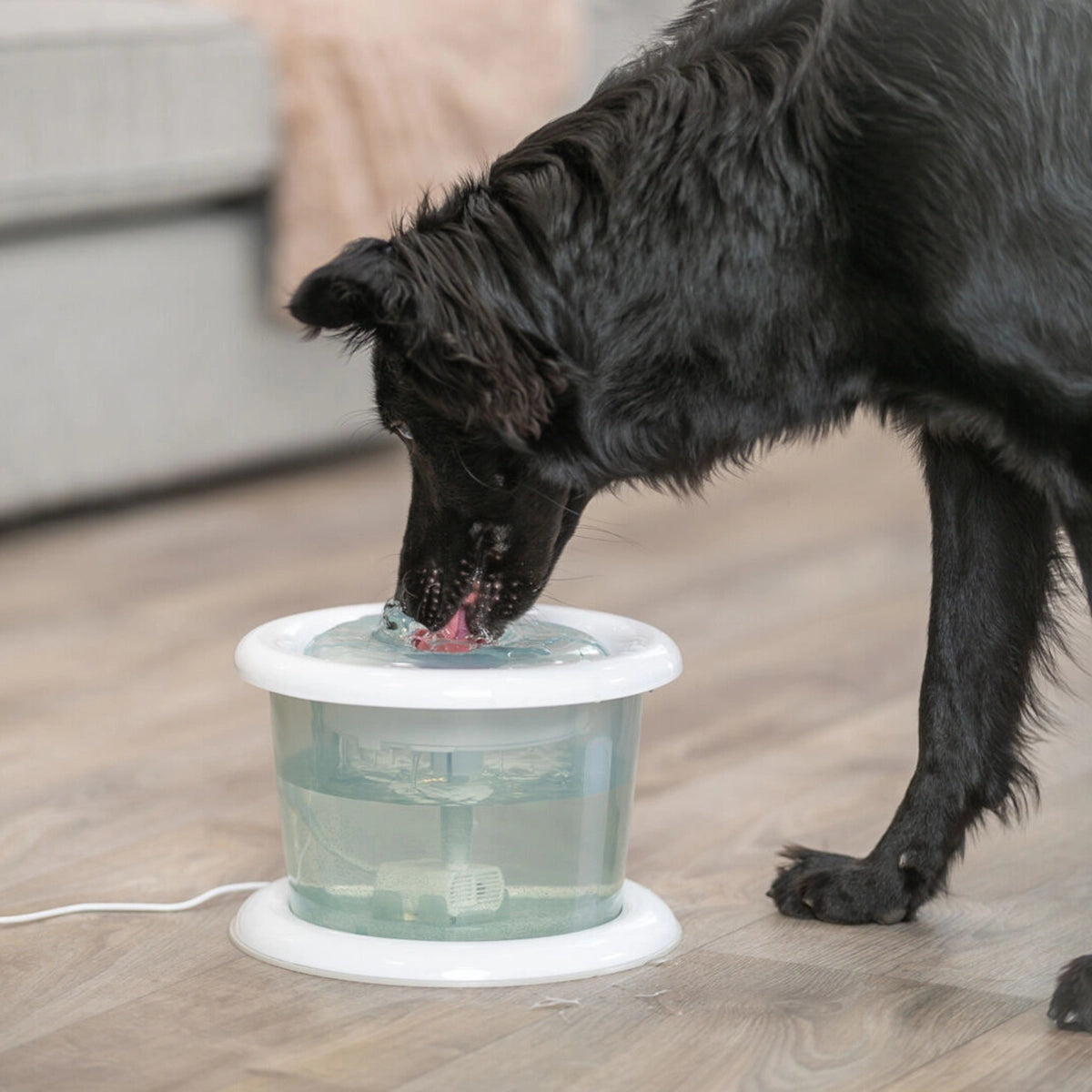 Trixie Bubble Stream Automatic Water Dispenser For Cats & Dogs (3L)