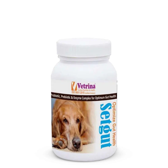 Vetrina Setgut Powder for Dogs and Cats - 50g