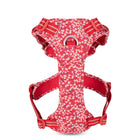 Truelove Floral No-Pull Padded Cordura Dog Harness (Poppy Red)