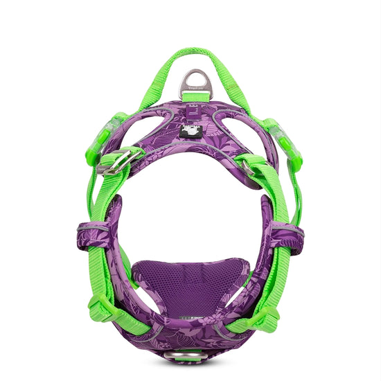 True Love Special Edition No-Pull Harnesses for Dogs - Camouflage Purple