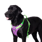 Truelove Special Edition No-Pull Padded Dog Harness (Camouflage Purple)