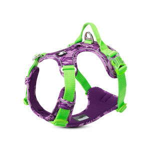 Truelove Special Edition No-Pull Padded Dog Harness (Camouflage Purple)