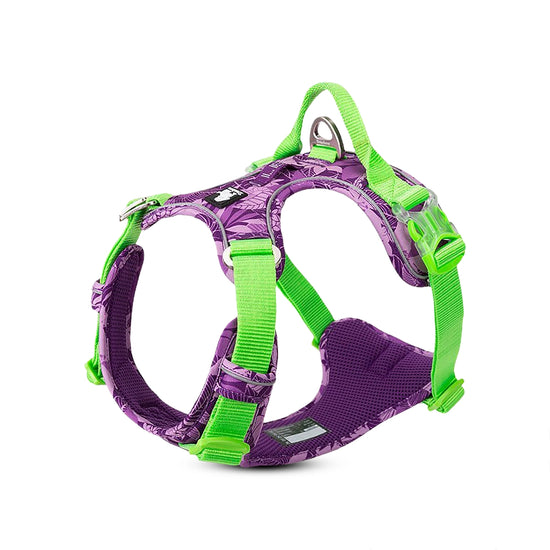 True Love Special Edition No-Pull Harnesses for Dogs - Camouflage Purple