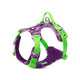 True Love Special Edition No-Pull Harnesses for Dogs - Camouflage Purple