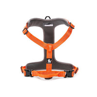 Truelove Harnesses for Dogs - Reflective No-Pull Harness - Orange