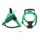 Truelove Classic No-Choke Padded Strap Dog Harness - Grass Green