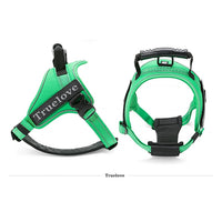 True Love Classic Strap Harness for Dogs - Grass Green