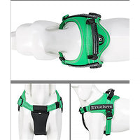 True Love Classic Strap Harness for Dogs - Grass Green