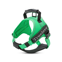True Love Classic Strap Harness for Dogs - Grass Green