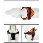 Truelove Classic No-Choke Padded Strap Dog Harness - Orange