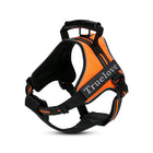 Truelove Classic No-Choke Padded Strap Dog Harness - Orange