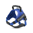 Truelove Classic No-Choke Padded Strap Dog Harness - Royal Blue
