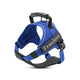 True Love Classic Strap Harness for Dogs - Royal Blue