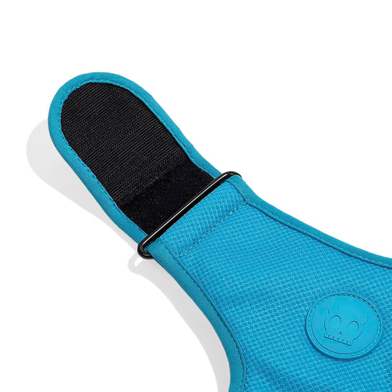 ZeeDog Soft-Walk Harnesses for Dogs - Ultimate Blue