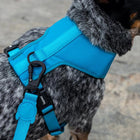 Zee Dog Soft-Walk Harnesses for Dogs - Ultimate Blue