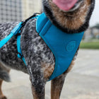 Zee Dog Soft-Walk Harnesses for Dogs - Ultimate Blue