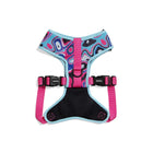 Zee Dog Adjustable Mesh Harness for Dogs - Blast