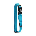 Zee Dog Collars for Dogs - Ultimate Blue