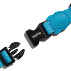 Zee Dog Collars for Dogs - Ultimate Blue