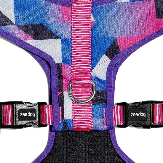 Zee Dog Dog Air Mesh Harness - Midnight (Limited Edition)