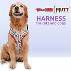 Tom and Jerry Retro Fun Harness for Dogs and Cats