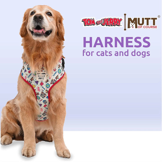 Tom and Jerry Retro Fun Harness for Dogs and Cats