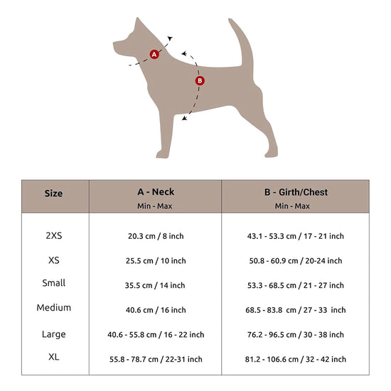 Tom and Jerry Cheese Harness for Dogs and Cats