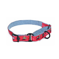 Harry Potter Martingale Collar - Friends of Harry Potter Dog Martingale Collar