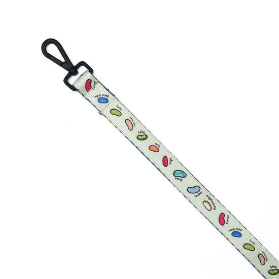 Harry Potter - Every Flavour Beans Dog Leash