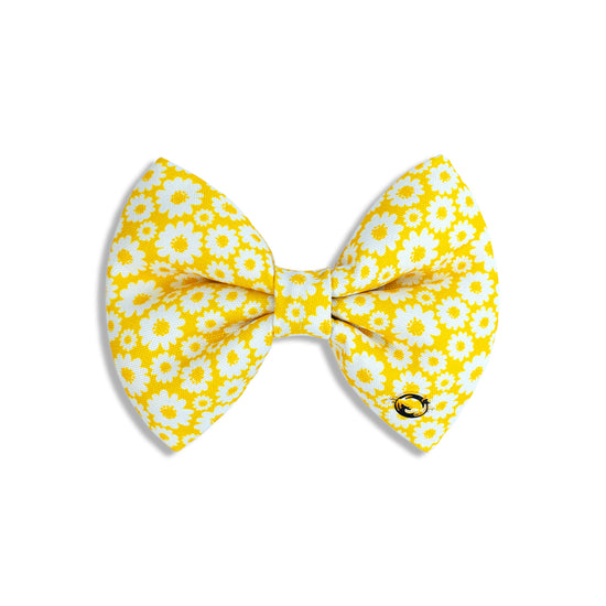 petsy-sunny-side-up-dog-cat-bow-tie