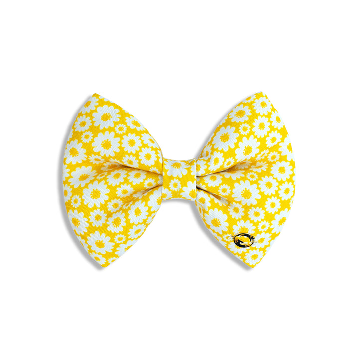 Petsy Sunny Side Up Dog & Cat Bow Tie