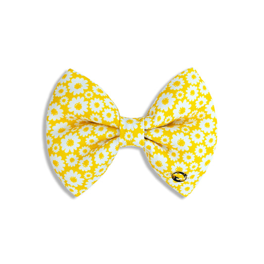 Petsy Sunny Side Up Dog & Cat Bow Tie