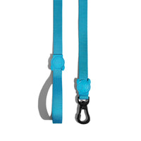 ZeeDog Leashes for Dogs - Ultimate Blue Small