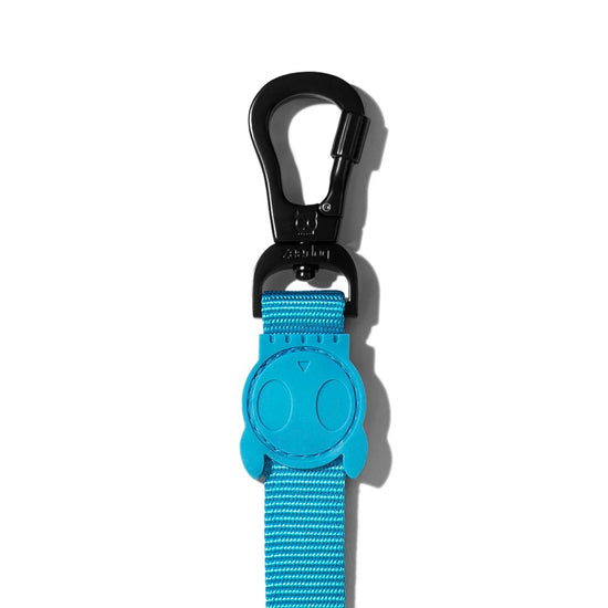 ZeeDog Leashes for Dogs - Ultimate Blue Small
