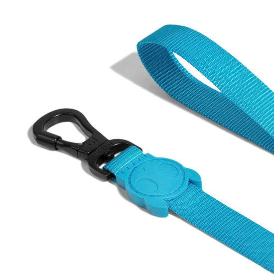 ZeeDog Leashes for Dogs - Ultimate Blue Small