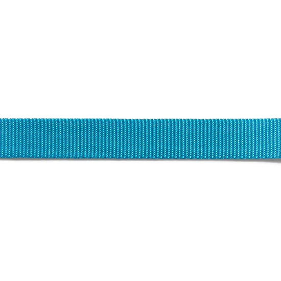 ZeeDog Leashes for Dogs - Ultimate Blue Small