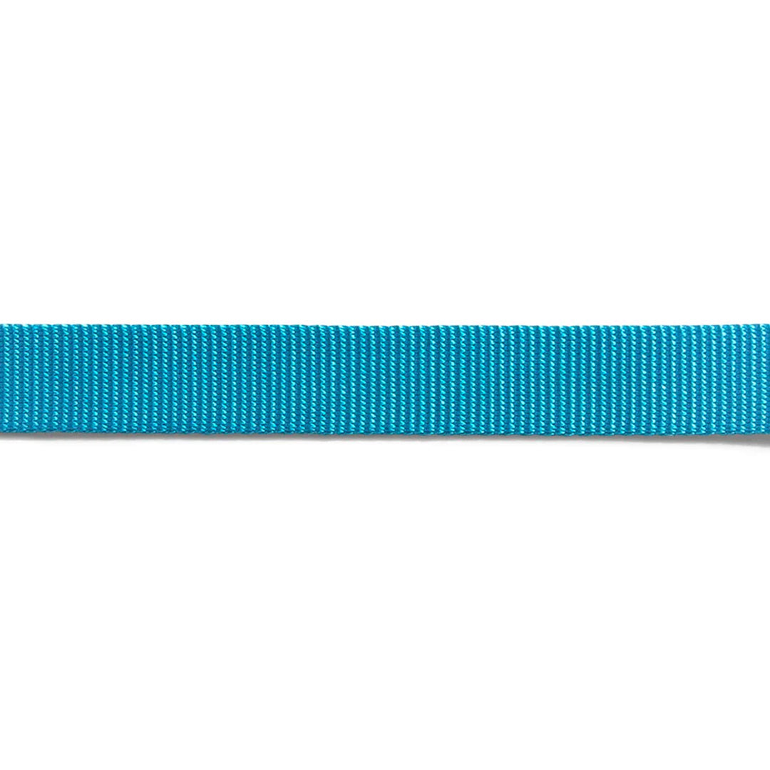 ZeeDog Leashes for Dogs - Ultimate Blue Small