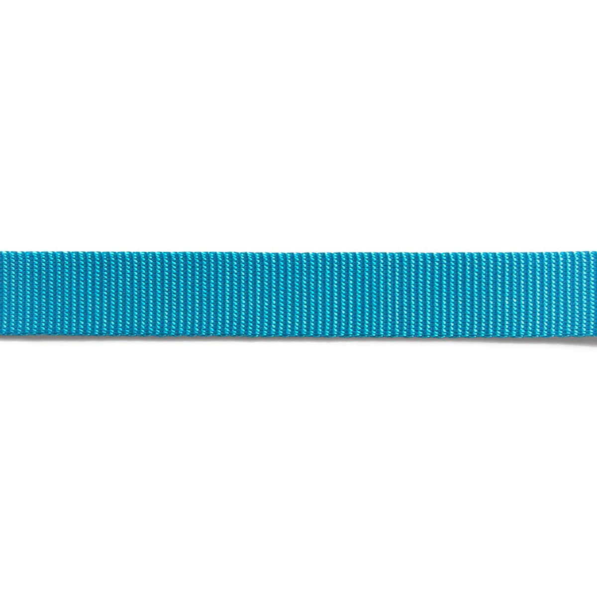 ZeeDog Leashes for Dogs - Ultimate Blue Small