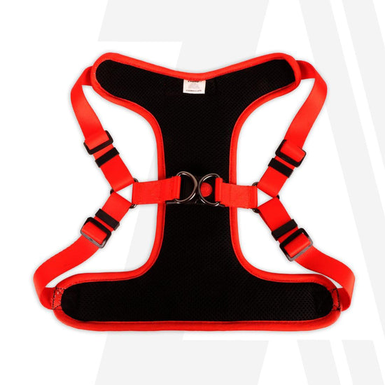 zoomiez-adjustable-step-in-mesh-dog-harness-tango