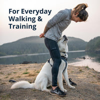 Woman in athletic wear training with white dog by lake shore for everyday walking zigly