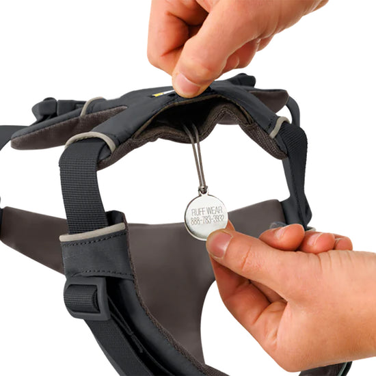 Hand inserting Ruff Wear ID tag into black dog harness strap with padding, showing zigly brand