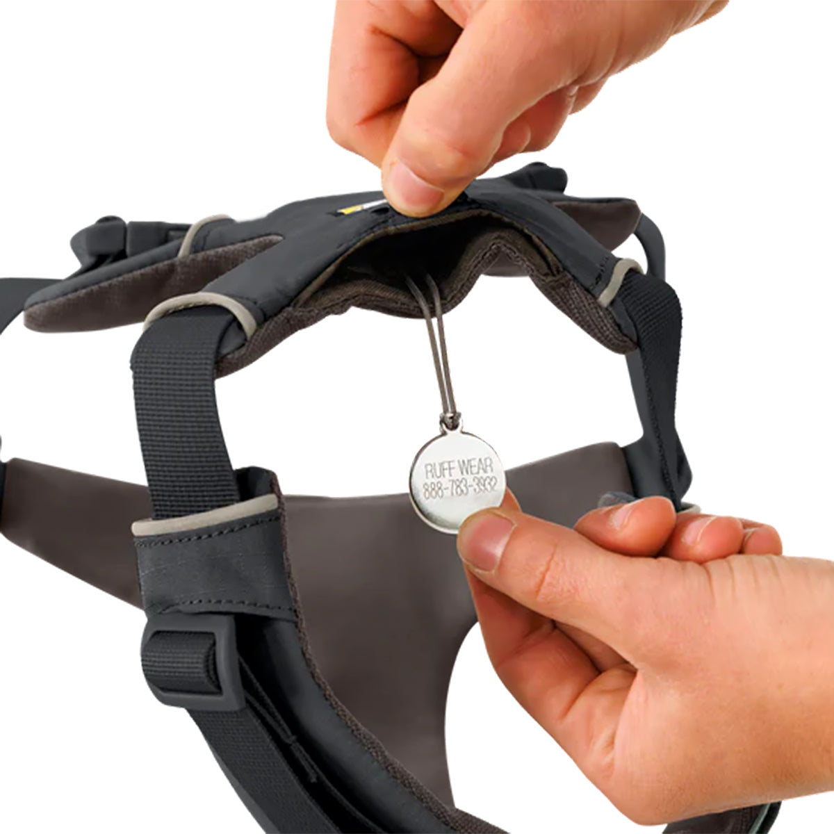 Hand inserting Ruff Wear ID tag into black dog harness strap with padding, showing zigly brand